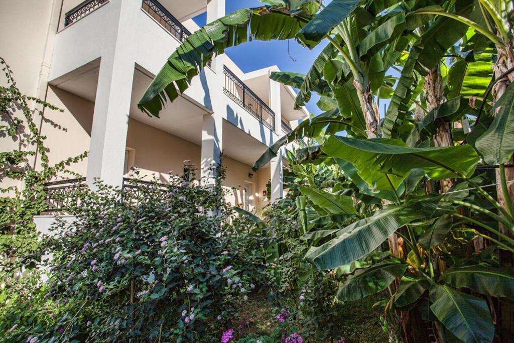 Bali Dorian Apartments Exteriör bild